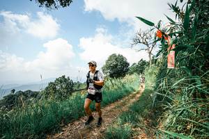 BIB: 
                            <button type="button" onclick="openModal(26050597)" class="btn btn-primary btn-sm float-right btn-popup" data-toggle="modal" data-target=".modal-high-quality">
                        <i class="fas fa-shopping-cart"></i> Add to Cart
                    </button>
                                            <button type="button" onclick="isThisMe(26050597, true)" class="btn btn-success btn-sm float-right btn-popup btn-isme hidden" data-toggle="tooltip" data-placement="bottom" title="นี่คือรูปของคุณใช่ไหม คลิกที่นี่เพื่อเอาเข้าอัลบั้ม">
                        <i class="fas fa-plus"></i> Add to album
                    </button>
                    <button type="button" onclick="isThisMe(26050597, false)" class="btn btn-warning btn-sm float-right btn-popup btn-isnotme hidden">
                        <i class="fas fa-ban"></i> Remove from album
                    </button>